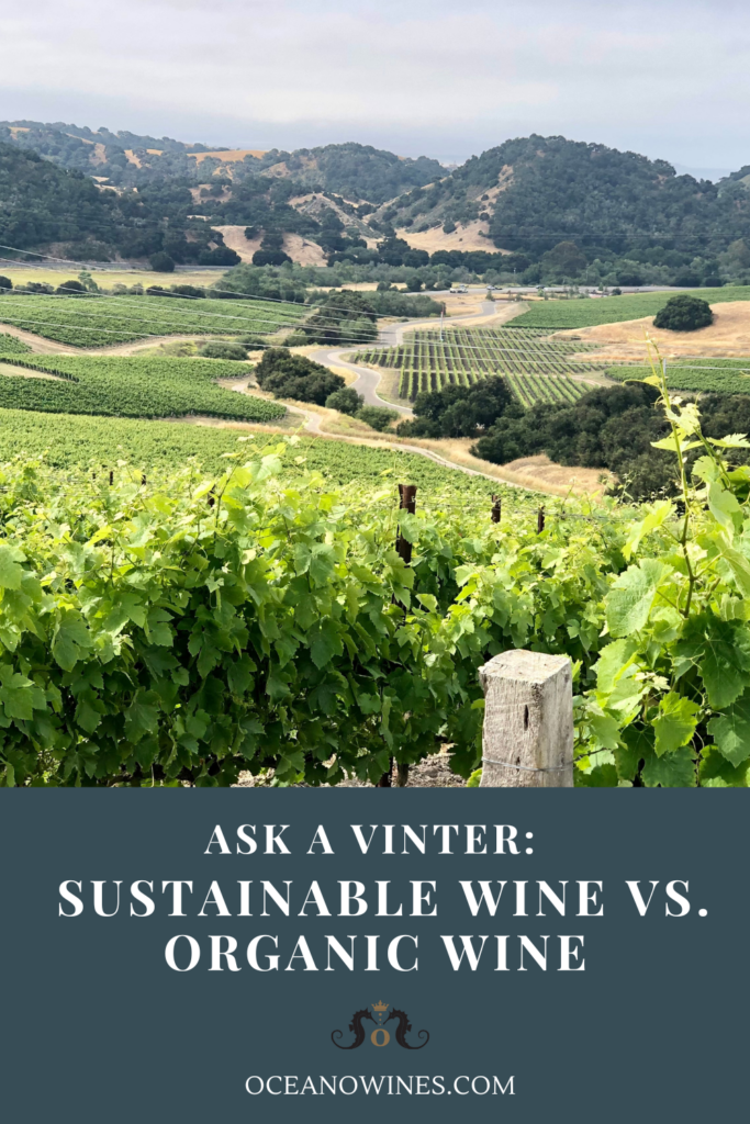 Blog post graphic for "Ask a Vinter: Sustainable Wine vs Organic Wine"