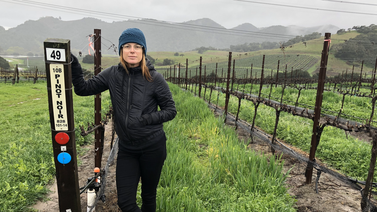 This rectangular image shows the owner of our woman-owned winery and sustainable wines company, Rachel Martin. Rachel is standing in a row in our CA wine vineyard, Spanish Springs, on a damp spring day. She is wearing a blue hat and a short black warm jacket with a hood and standing next to a sign that indicates the row in the vineyard and the type of grape grown. In this case, pinot noir. Other rows in our CA pinot noir and CA chardonnay vineyard appear to the right of her and the mountains appear in back of her.