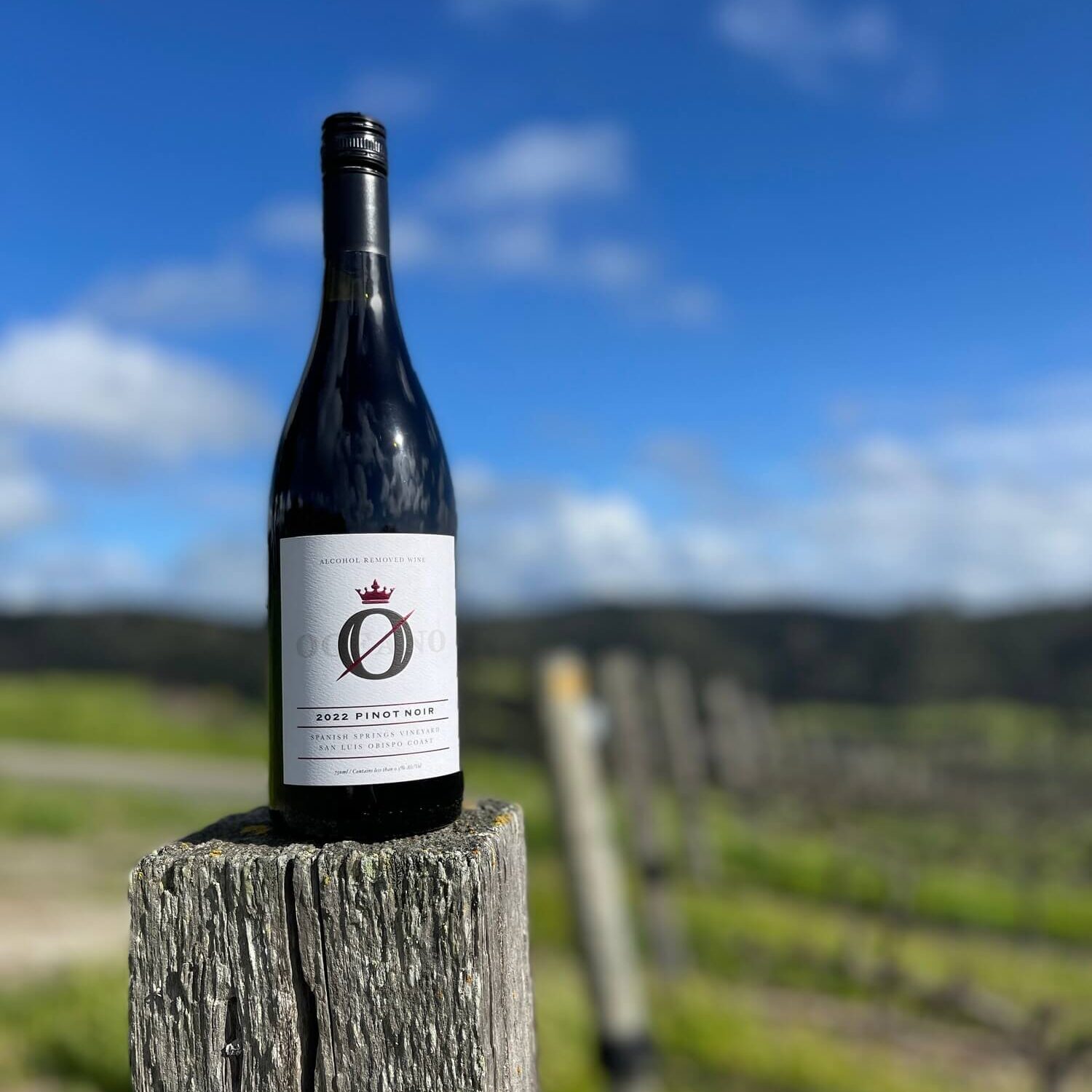 2022 Oceano Wines Pinot Noir on top of wooden post in vineyard