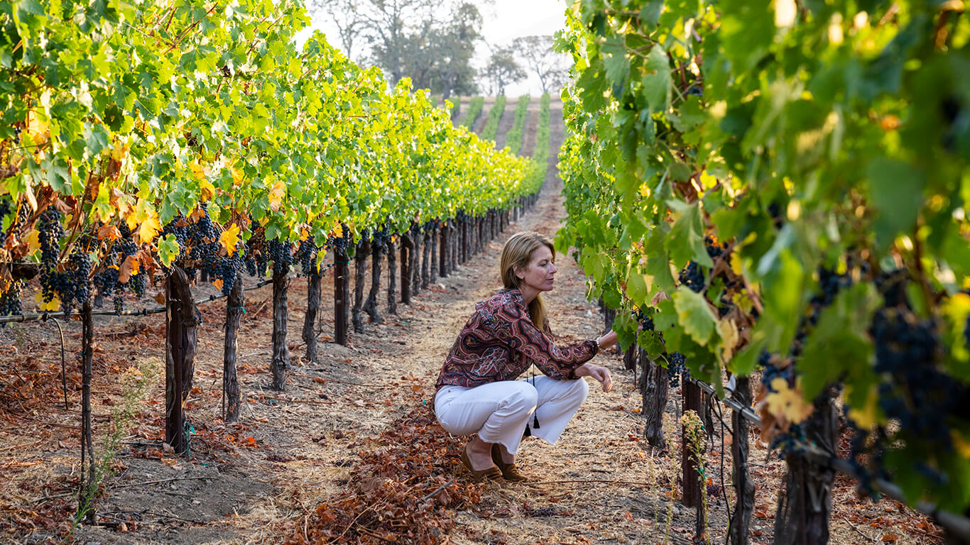 Winemaker Rachel Martin among the pinot noir grapes at Oceano's Spanish Springs vineyard.