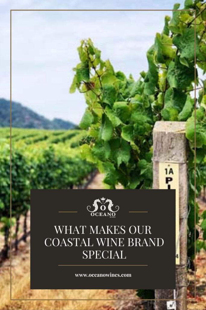 A pinnable graphic for "What Makes Our Coastal Wine Brand Special" from Oceano Wines.