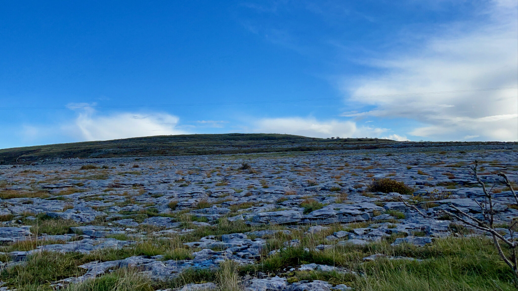 Patches of grass poke between many gray rocks on a sunny day.