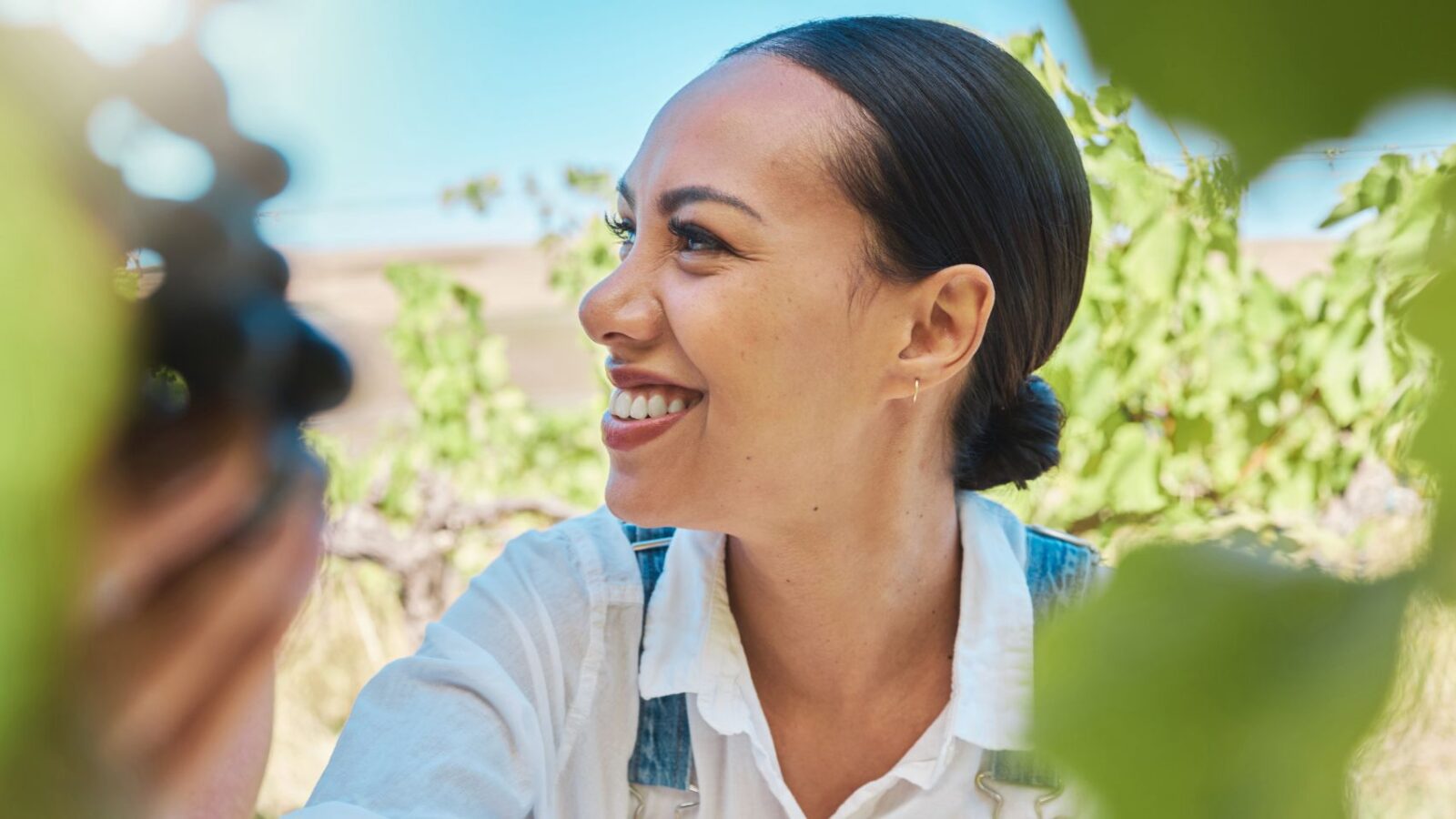 A woman smiles and looks to her side as she picks grapes off a vine on a sunny day.