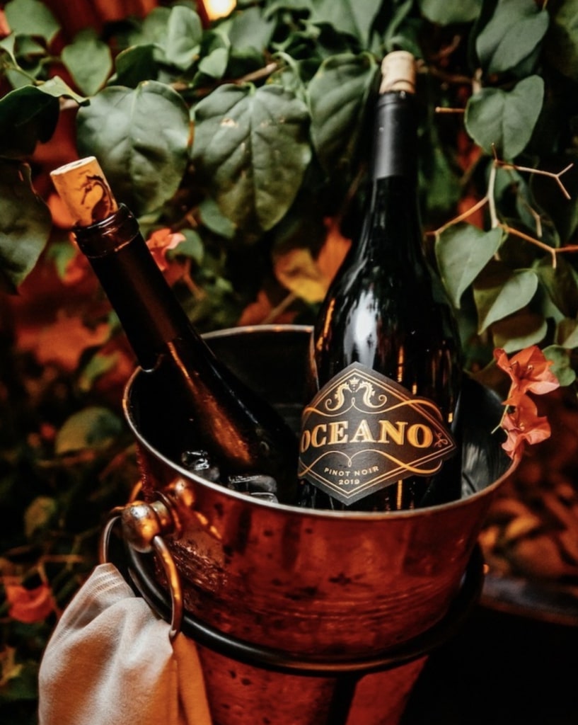 Two bottles of Oceano Wines' 2019 Pinot Noir resting in an ice bucket.