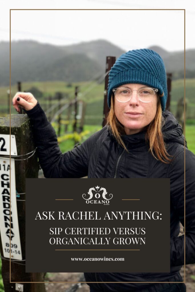 A pinnable blog post graphic for "Ask Rachel Anything: Sip Certified Versus Organically Grown" from Oceano Wines.