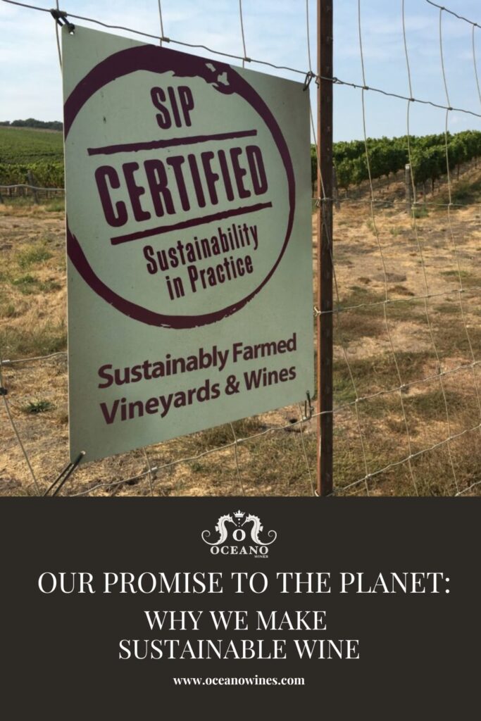 A pinnable graphic for "Our Promise to the Planet: Why We Make Sustainable Wine" from Oceano Wines.