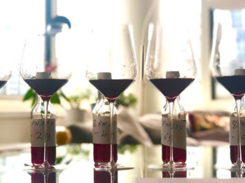 A series of wine glasses with a dash of red wine in each on a glass table.