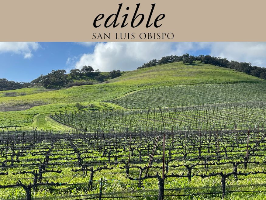 Edible San Luis Obispo graphic from Oceano Wines