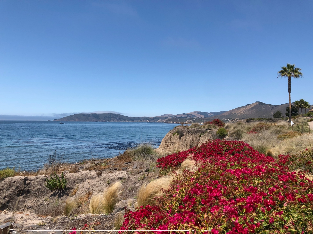 Central coast near San Luis Obispo