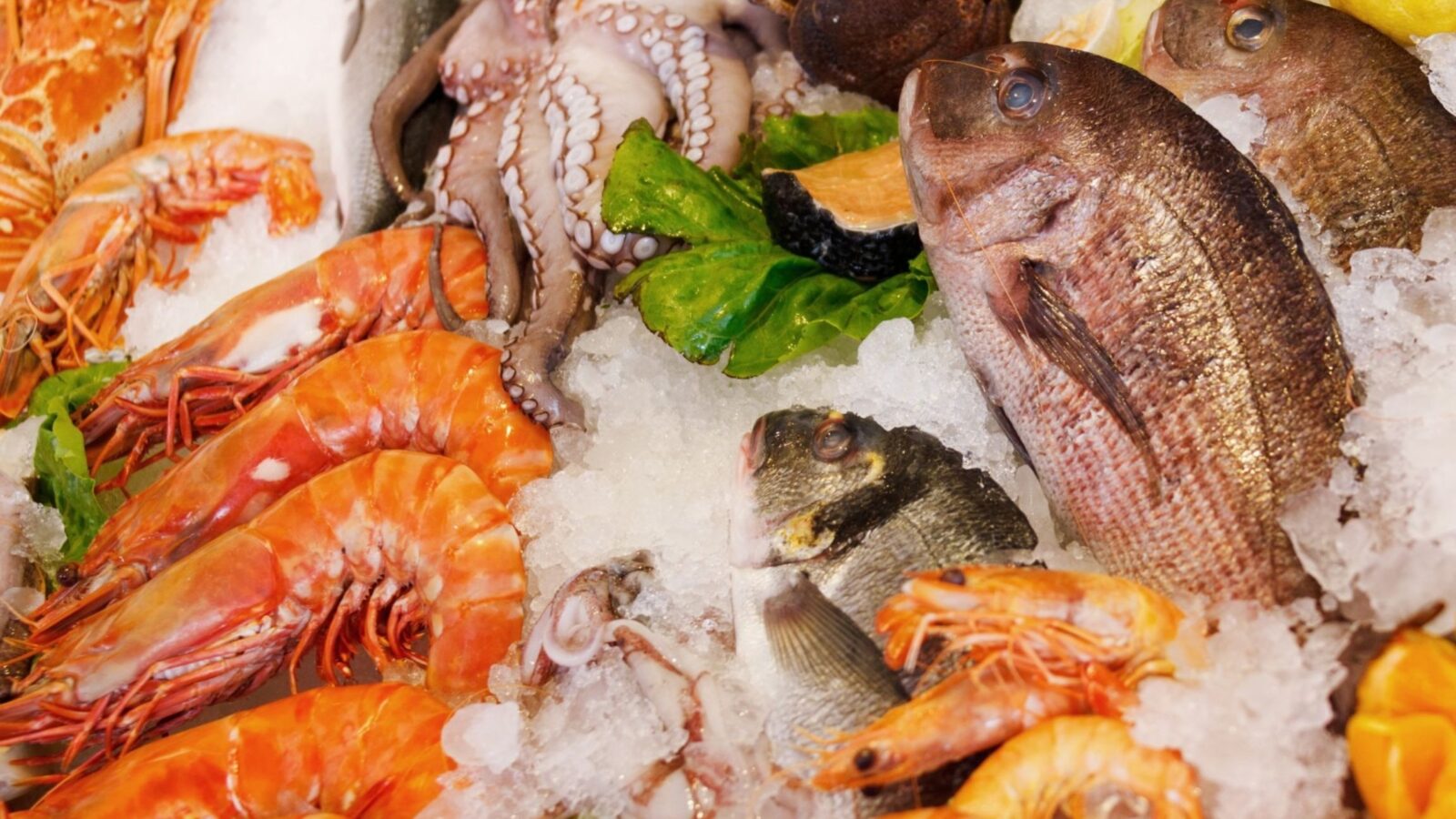 seafood tower with Oceano Chardonnay